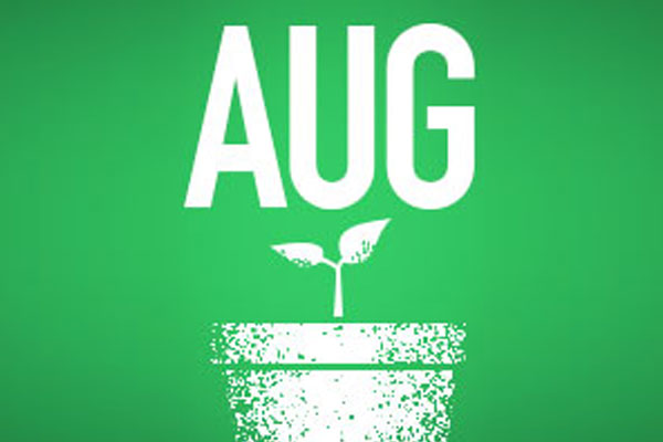 pot with plant and AUG in background